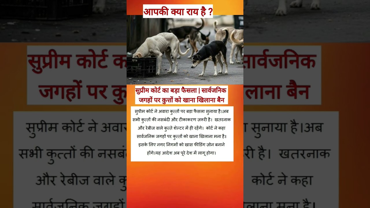सुप्रीम कोर्ट का बड़ा फैसला | सार्वजनिक जगहों पर कुत्तों को खाना खिलाना बैन
