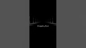 تلاوه هادئه 🌹🤍