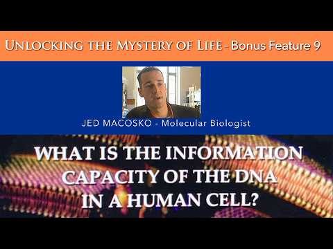 What is the information capacity of the DNA in a human cell?