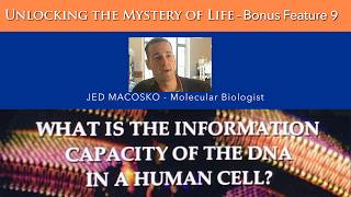 What is the information capacity of the DNA in a human cell?
Jed Macosko is primarily known as a Professor of Physics at Wake Forest University and a prominent figure in the field of educational technology as the Research Director and President of AcademicInfluence.com. He specializes in biophysics, particularly the mechanical properties of cancer cells and the behavior of molecular motor proteins. His research lab focuses on developing drug discovery platforms and new teaching technologies. What is the information capacity of the DNA in a human cell?
