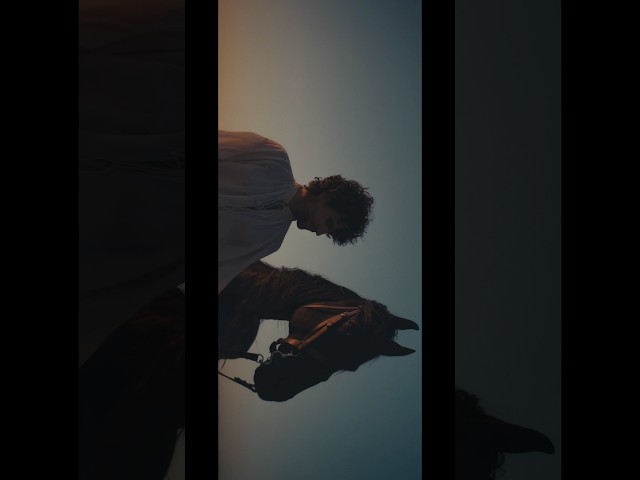 Fable 9: A Leap Of Fate | Final Act ”This could be the beginning of a whole new life.”