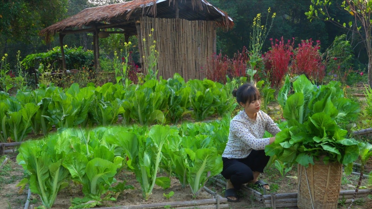 100 дней жизни в одиночестве на ферме | Садоводство, сбор урожая, приготовление пищи и уход за