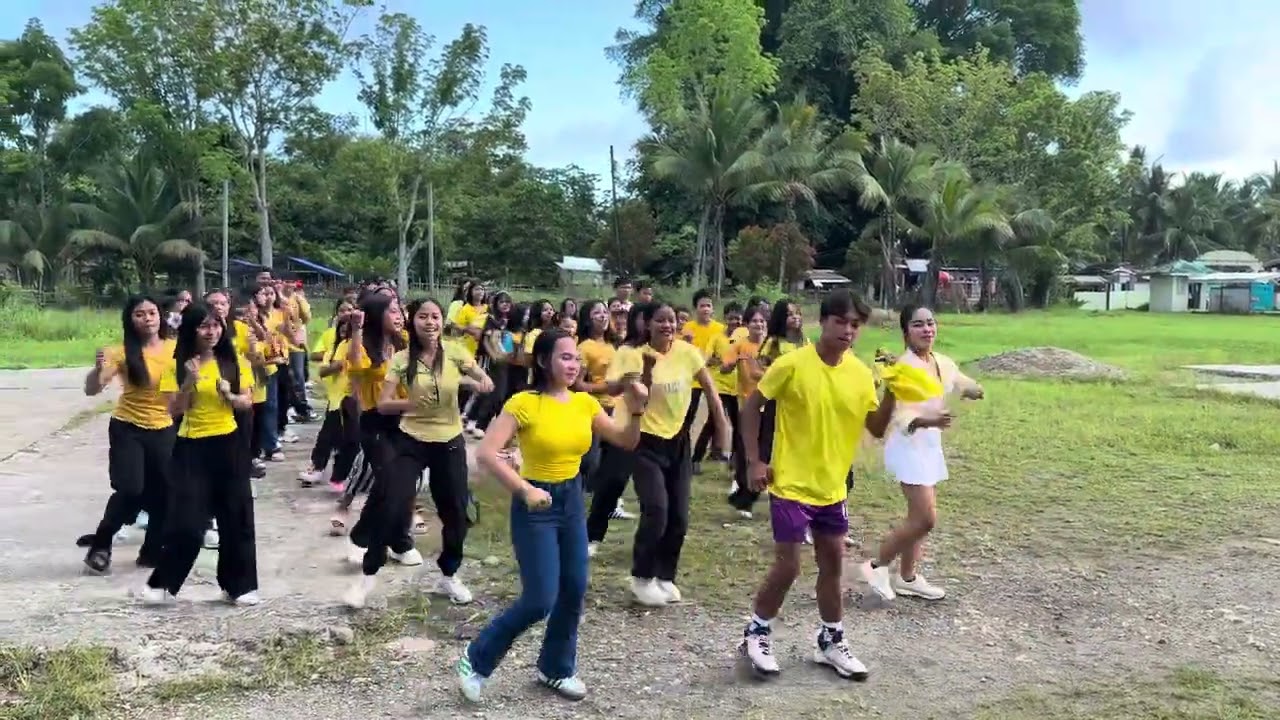 Palarong pambansa💕