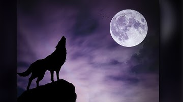 Create Silhouette Manipulation Effect in Photoshop | Photoshop Tutorial