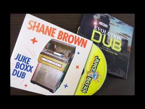 Shane Brown   The Statement  2013 Reggae Dub