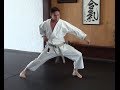 hip movement taikyoku shodan/heian shodan