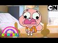Nada de tonterías para Anaís | El Increíble Mundo de Gumball en Español Latino | Cartoon Network