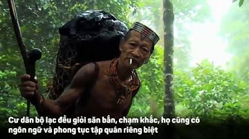 Bộ Lạc Nguyên Thủy Duy Nhất Còn Lại Trên Thế Giới l Khoa Học Trái Đất