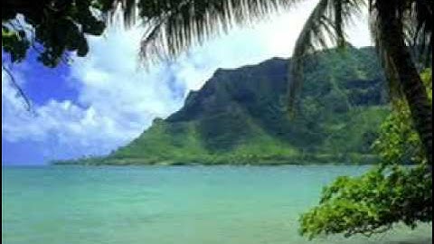 محمد صديق المنشاوي سورة فصلت سورة 41 عدد آياتها 54