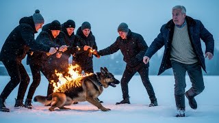 видео: Когда снег гасит пламя: История верности, которая изменяет сердца картинка: Когда снег гасит пламя: История верности, которая изменяет сердца