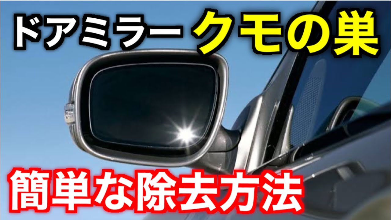 車のドアミラーに巣食うクモの巣を除去 寄せ付けない方法 Youtube