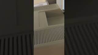 IMG 2112