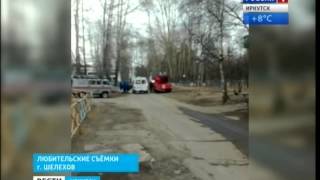 МЧСники и пожарные спасали кота, застрявшего на дереве в Шелехове, "Вести-Иркутск" МЧСники и пожарные спасали кота, застрявшего на дереве в Шелехове, "Вести-Иркутск"