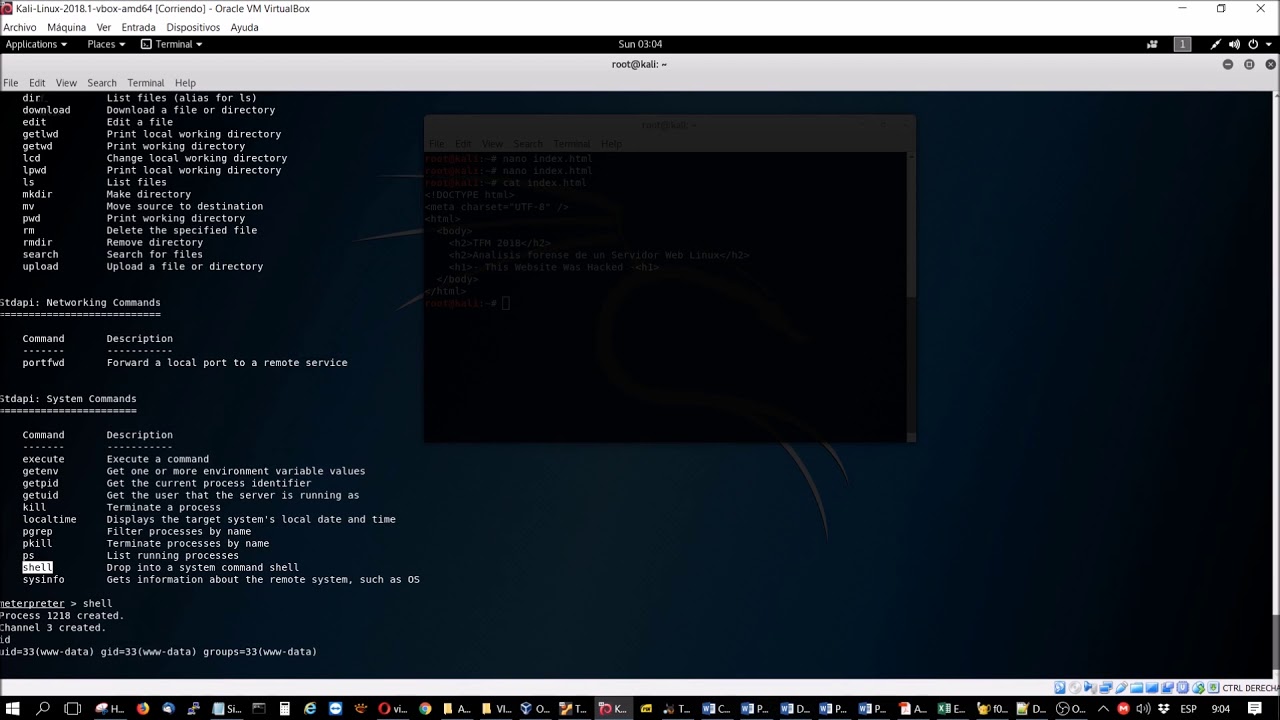 debian 10 08 Metasploit Meterpreter / Shell / Mysql root password !!!