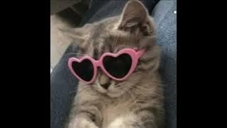 sunroof (^^speed up^^)