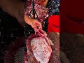 Pupolarb!! Tilapia Fish Cutting Skills 😱😱 #fishcutting #shorts #fishcutting_skills #tilapia