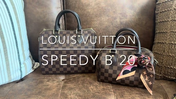 Louis Vuitton Speedy 25 Damier Ebene – Exchange Collectibles