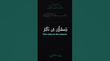 الذين صبروا وعلى ربهم يتوكلون #تلاوة_خاشعة #quran #اكسبلور #holyquran #قرآن #islamictext