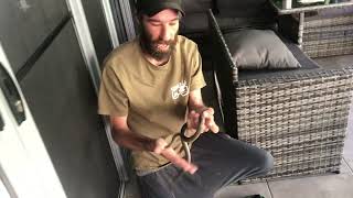 Keelback Eating a Cane Toad