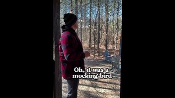 OH WOW, IS THAT A MOCKINGBIRD?!? 🦅🦅🦅🦅🦅🦅🦅🦅🦅 #funny #funnymemes