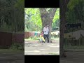 cricket playing#viral#shorts#trending#shorts#virat#cricket#small.boy