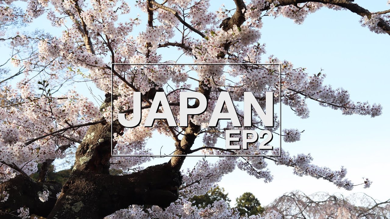 JAPAN TRIP EP2 / Sakura@Tohoku - YouTube