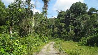 Wandering in Palora (Ecuador) Guide