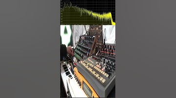 Behringer 2600 Synthesizer | Lead Sound | Short 2 | #synth #synthjam #dawless