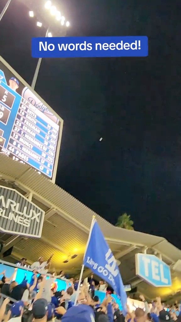 [問卦] 大谷翔平469ft最清楚影片