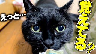 The black cat that used to scare me whenever I went home finally