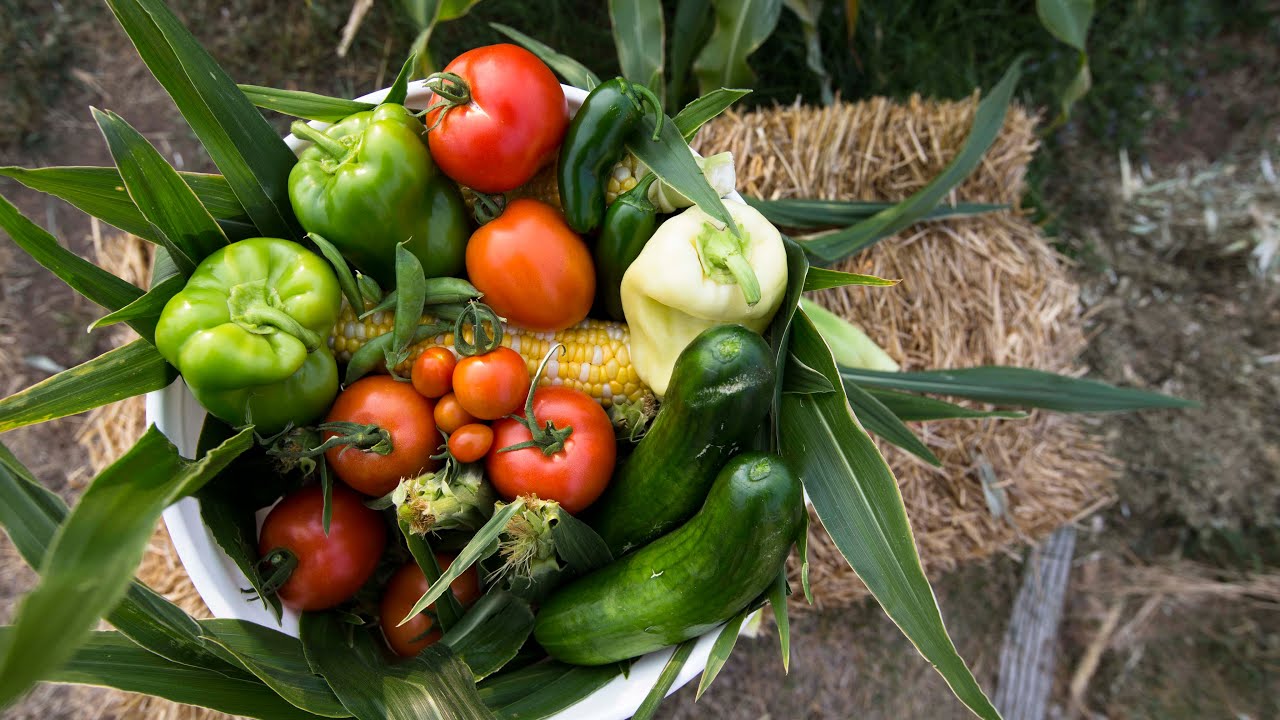How to Plan a Garden - YouTube