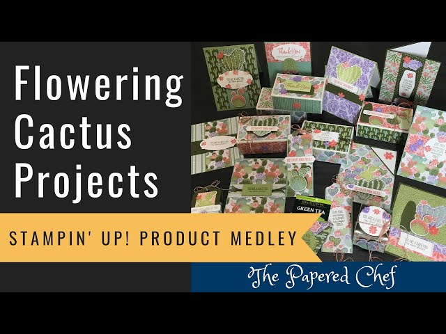 24 Projects - Flowering Cactus Product Medley by Stampin' Up