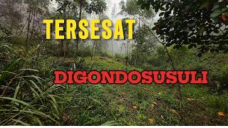 Tersesat Dihutan Gondosuli