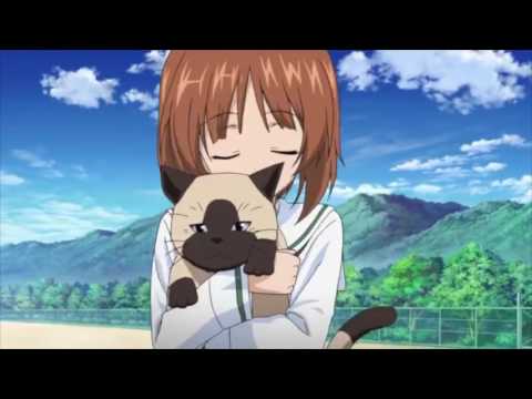 wot×ガルパンMAD 「Guirls und Tanks」