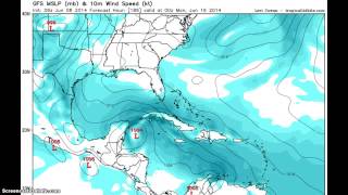 GFS MSLP mb Model