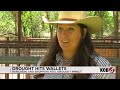 Drought expected to have an impact on food prices