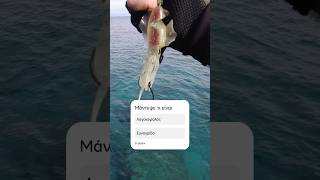 Πας για ψάρεμα και αλλάζεις τρία σημεία και γίνεται αυτό και στα τρία 🤔😭🤬 #fishing #shorts #ψάρεμα