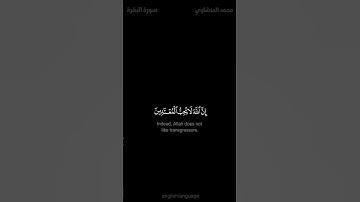 وقاتلوا في سبيل الله الذين يقاتلونكم ولا تعتدوا - #محمد_المنشاوي - #كروما - #سورة_البقرة #حالة_واتس