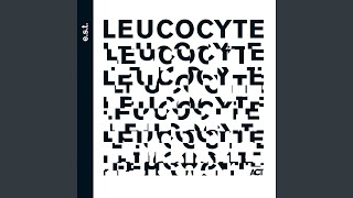 Leucocyte IV. Ad Infinitum