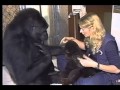 A conversation with koko