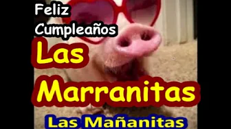 LAS MAÑANITAS - Version Chistosa LAS MAÑANITAS - Version Chistosa