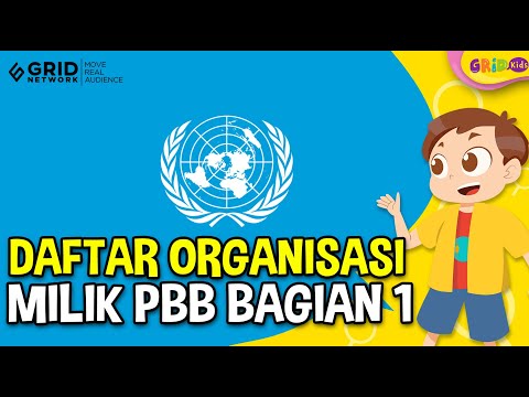 Video: Organisasi Penerbangan Sipil Internasional (ICAO): piagam, anggota dan struktur organisasi