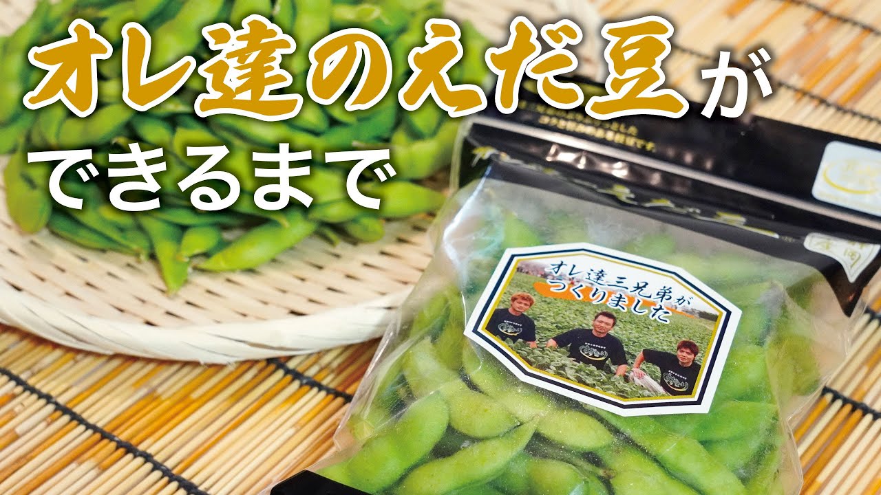 遠州から朝採りを直送！オレ達のえだ豆 【250g×4袋】 - すずなりONLINE