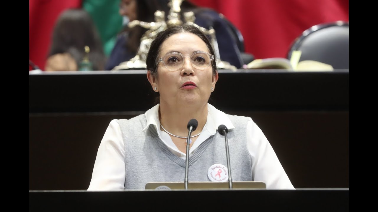 Dip. Patricia Terrazas Baca (PAN) / Posición respecto a la Ley de Ingresos para 2024 YouTube