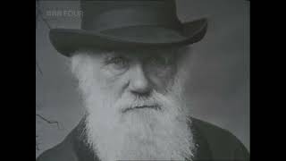 The Sea of Faith - 2. The Human Animal (BBC)