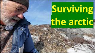 Adaptations of arctic plants