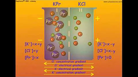 Gibbs-Donnan Equilibrium and the Membrane Potential