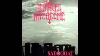 Watch Impaled Nazarene Sadogoat video