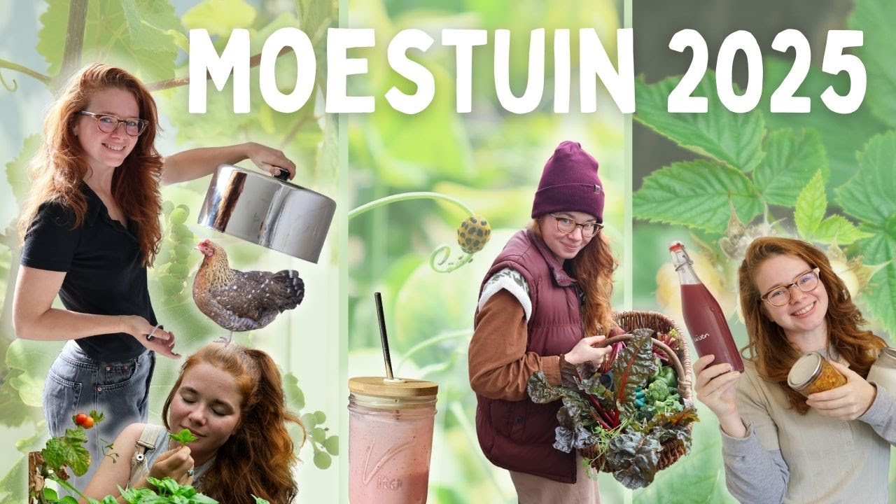 Moestuin 2025 | RECAP