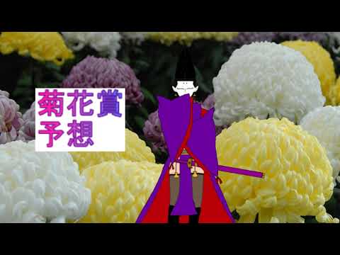 懐激アツ卿競馬予想【菊花賞編】【公家VTuber／鷹司晴豊】